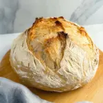 Quick and Easy No-Knead Bread