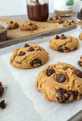 Peanut Butter Greek Yogurt Chocolate Fudge Cookies